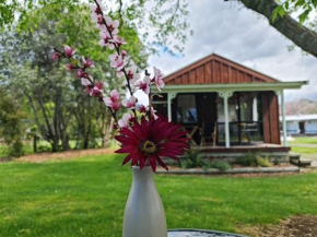 Seabreeze Holiday Park, Hot Water Beach